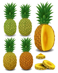 Realistic pineapple with sliced. 3d illustration isolated on white background