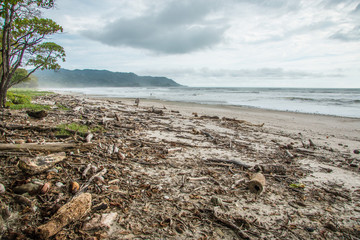 Pollution sur une plage du Costa Rica après de grosse pluies, les déchets qui étaient dans les...