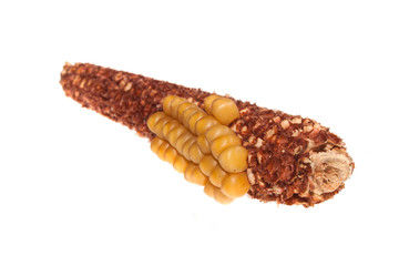 corn isolated on white background