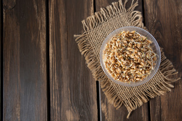 wheat germs on wooden surface