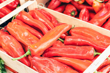 Ripe red pepper in the fruit market of Catania, Sicily, Italy.