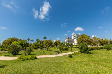 Green park in the city