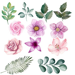  Watercolor flower illustration. Composition, frame, wreath, Individual elements