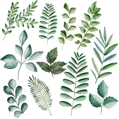  Watercolor flower illustration. Composition, frame, wreath, Individual elements