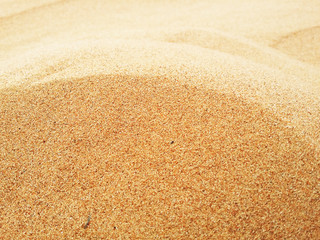 Sand dunes in Sahara desert