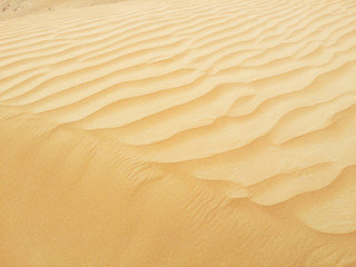 Sand dunes in Sahara desert
