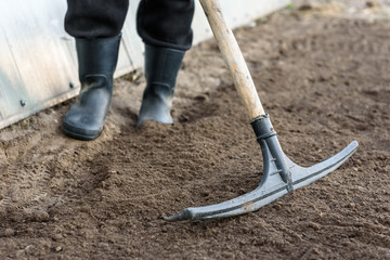 Farmer working in garden with rake leveling ground. Preparation of ground for planting.