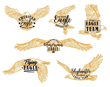Eagle, hawk or falcon birds with letterings