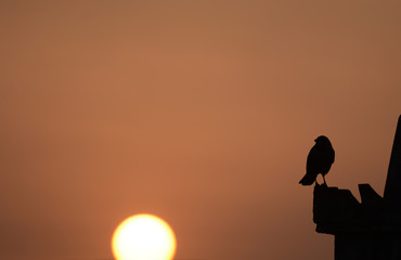 Sinrise in Kathmandu