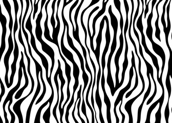 Zebra pattern design. Animal print vector illustration background. Wildlife fur skin design illustration. For web, home decor, fashion, surface, graphic design
