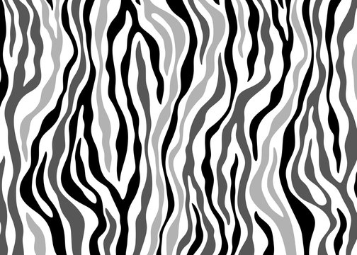 Zebra pattern design. Animal print vector illustration background. Wildlife fur skin design illustration. For web, home decor, fashion, surface, graphic design