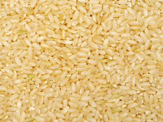 Background of short grain brown rice