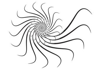 Spiral vector design elements. Abstract lines black and white. Swirl background.