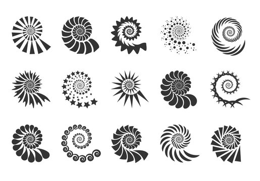 Swirl design element. Spiral icon. Set twisting lines isolated on white background. Seashells vector.