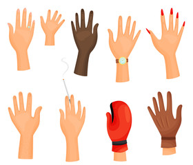 Collection of different hands on white background.