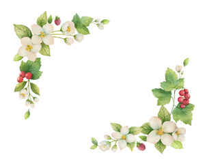 Watercolor vector wreath of Jasmine and red currant flowers.