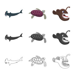 Isolated object of sea and animal icon. Set of sea and marine stock vector illustration.
