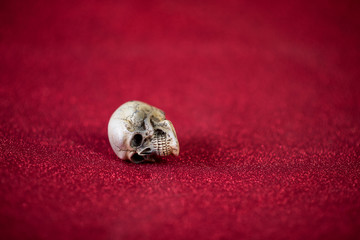 Red background and cute skull Harovine concept