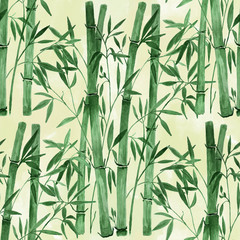 Botanical watercolor seamless pattern . Bamboo branches on a light green background.