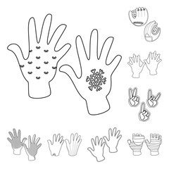 Fototapeta premium Vector illustration of accessory and style symbol. Set of accessory and distinctive vector icon for stock.