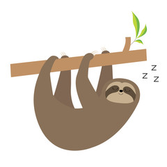 Sleeping sloth hanging on tree branch. Cute cartoon kawaii baby character. Wild jungle animal collection icon. Kids education. Isolated. White background. Flat design. © worldofvector