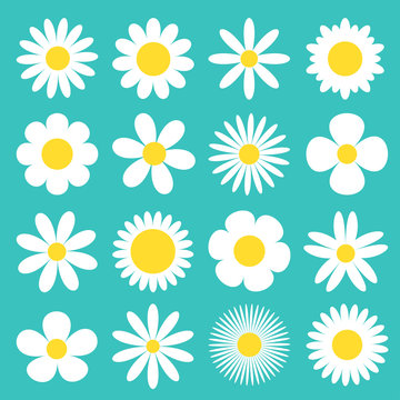 White Daisy Chamomile Icon. Camomile Super Big Set. Cute Round Flower Head Plant Collection. Love Card Symbol. Growing Concept. Flat Design. Green Background. Isolated.