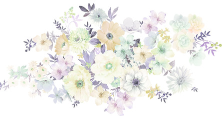 Flowers watercolor illustration