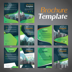 Set of Business Brochure Flyer Design Layout Template - Vector Eps10.	
