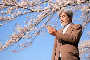 シニア　桜　ポートレート