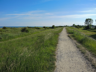 Fototapeta na wymiar Coastal footpath on the German Baltic Sea coast near Grömitz