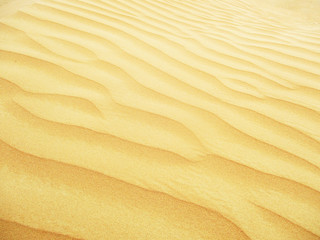 Sand dunes in Sahara desert