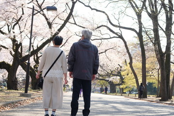 散歩するシニア夫婦