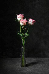 Vase with beautiful flowers on dark background