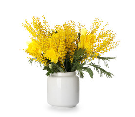 Bouquet with beautiful mimosa flowers in vase on white background