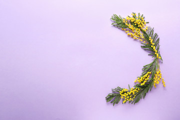 Obraz na płótnie Canvas Beautiful mimosa flowers on color background