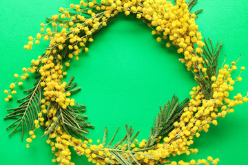 Frame made of beautiful mimosa flowers on color background