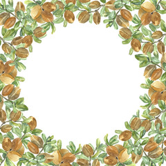 Watercolor round frame of argan nuts and leaves.