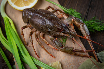 Crayfish. Red boiled crawfishes on table in rustic style, closeup. Lobster closeup.