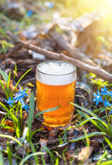 Beer and blue flower spring, snowdrops Scilla