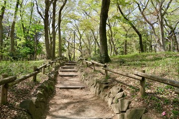 Obraz premium 井の頭恩賜公園