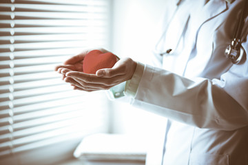 Close up of unknown female doctor with stethoscope holding heart near the window in hospital