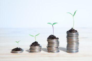 Fototapeta na wymiar Idea money growing concept. Business success concept. Trees growing on pile of coins money 