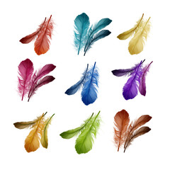 Colored feathers set
