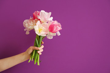 Female hand with beautiful tulips on color background