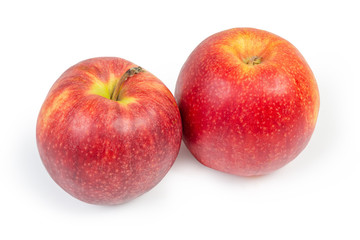 Red apples on a white background
