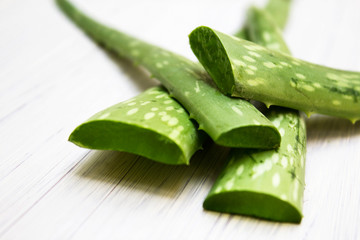 Aloe sliced, isolated on a white background