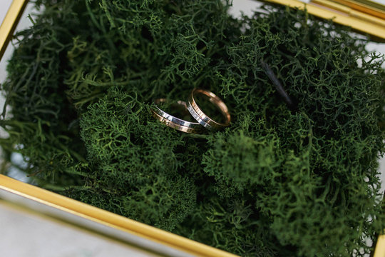 View from above into a glass box with golden brass edges filled with natural forest moss where two wedding bands are placed, customized and original keepsake as a rings holder for the wedding ceremony