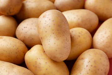 Many raw potatoes, closeup