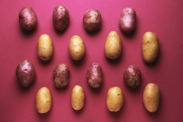 Raw potatoes on color background