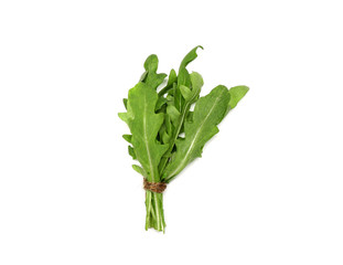 Bunch of fresh arugula on white background